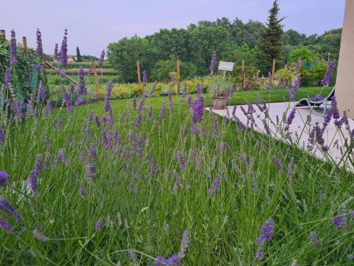 Residence Le Aromatiche Cavaion Veronese Eksteriør billede